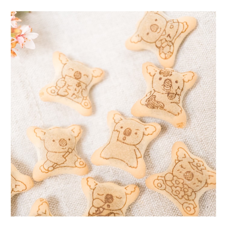 Lotte Japan Koala Chocolate Filled Cookies 1.45oz