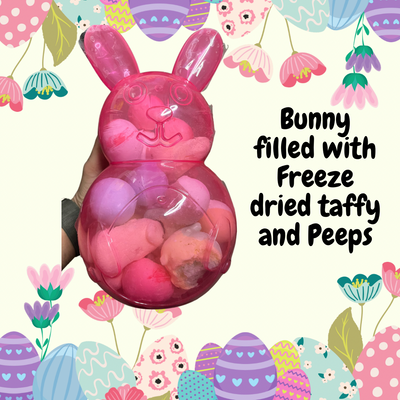 Bunny W/ Freeze Dried Candy