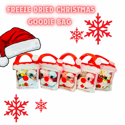 Freeze Dried Christmas Goodie Bag