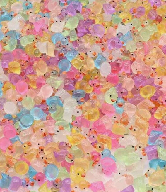 Mini Duck Resin 10pc